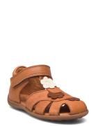 Bisgaard Oline Brown Bisgaard