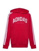 J C Colleg Hd Red Adidas Sportswear