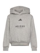 J Allszn Gfx Hd Grey Adidas Sportswear