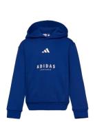 J Allszn Gfx Hd Blue Adidas Sportswear