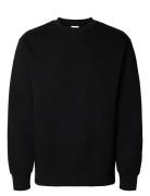 Slhreg-Dan Sweat Crew Neck Black Selected