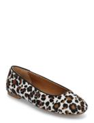 Ballerina Patterned ANGULUS