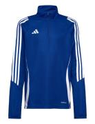 Tiro24 Trtopy Blue Adidas Performance