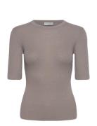 Orvi 2. Grey Tiger Of Sweden