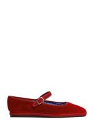 Eliora Red Andiata