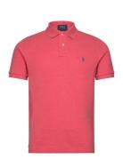 Basic Mesh-Ssl-Knt Pink Polo Ralph Lauren