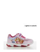 Pawpatrol Sneakers Pink Leomil