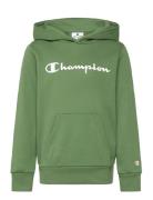 Hooded Sweatshirt Green Champion