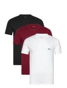 Tshirtrn 3P Classic Patterned BOSS