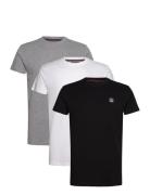 Vin 3 Pack T-Shirt Massimo Men Patterned VINSON