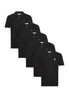 Billy Reg Pi 5 Pk Uspa M Polo Black U.S. Polo Assn.