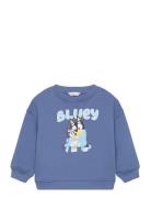 Bluey-Print Sweatshirt Blue Mango