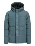 Jcospeed Puffer Sn Jnr Blue Jack & J S