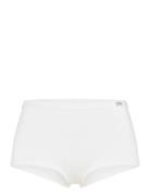 Women's Bamboo Legend Boxer White Frank Dandy