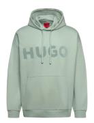 Ditchle Green HUGO