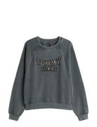 Tjw Bxy Leopard Varsity Crew Grey Tommy Jeans