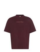 Ss Standard Logo 30S Crewnk Tee Brown Calvin Klein