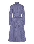 Belted Striped Cotton Shirtdress Blue Polo Ralph Lauren