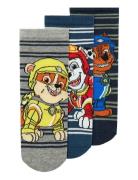 Nmmsommer Paw 3P Sock Cplg Navy Name It