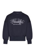 Embroidered Cotton Sweatshirt Navy Mango