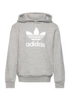 Trefoil Hoodie Grey Adidas Originals