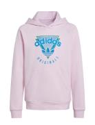 Hoodie Fl Pink Adidas Originals