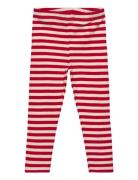 Tnstfro Rib Leggings Red The New