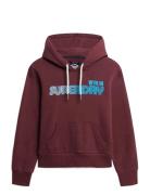 Faded Core Hood Burgundy Superdry