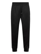 Trouser Black Armani Exchange
