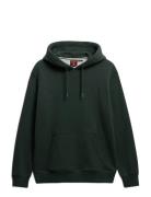Essential Logo Hoodie Hb Green Superdry