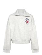 Sweatshirt With Collar Grey Lindex