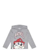 Tshirt Grey Paw Patrol