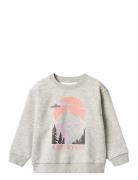 Sweatshirt L/S Ellis Grey Wheat