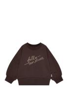 Ppdina Sweat Shirt Brown Petit Piao