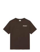 Wwliam Tee Aaneue 25220 Khaki WOOD WOOD