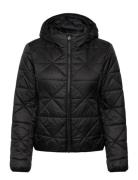 Fandine-1 Black HUGO