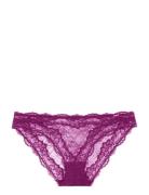 Origins Lace Brief Purple Dorina