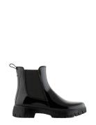 Peachy Black Black Lemon Jelly