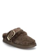 Cozy Up Brown Steve Madden