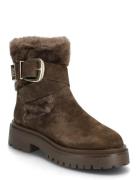 Lodge Brown Steve Madden