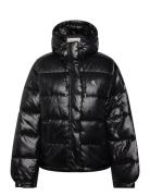 Shine Puffer Jacket Black Calvin Klein Jeans