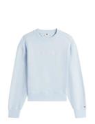 Script Reg Pique Swtshrt Blue Tommy Hilfiger