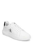 Chunky Cupsole Mono Lth White Calvin Klein