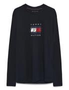 Linear Flag Graphic Ls Tee Navy Tommy Hilfiger