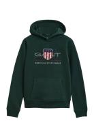 Archive Shield Hoodie Green GANT