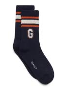 Graphic Socks Navy GANT