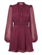 Organza Mini Dress Burgundy By Ti Mo