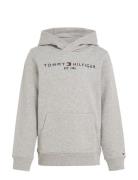 Essential Hoodie Grey Tommy Hilfiger