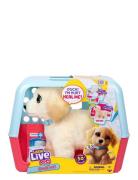 Little Live Pets Ouchies Patterned Little Live Pets
