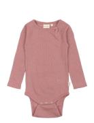 Ppdante Body L/S Merino Wool Pink Petit Piao